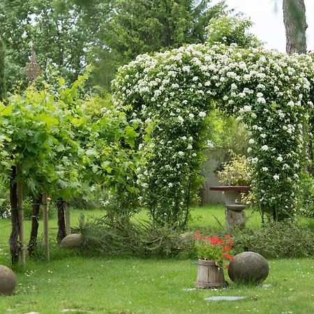 Ca'Bevilacqua Bed&Breakfast Bertinoro Kültér fotó