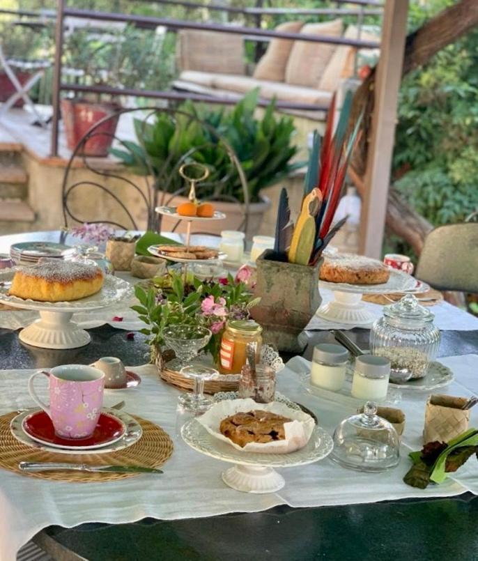 Ca'Bevilacqua Bed&Breakfast Bertinoro Kültér fotó
