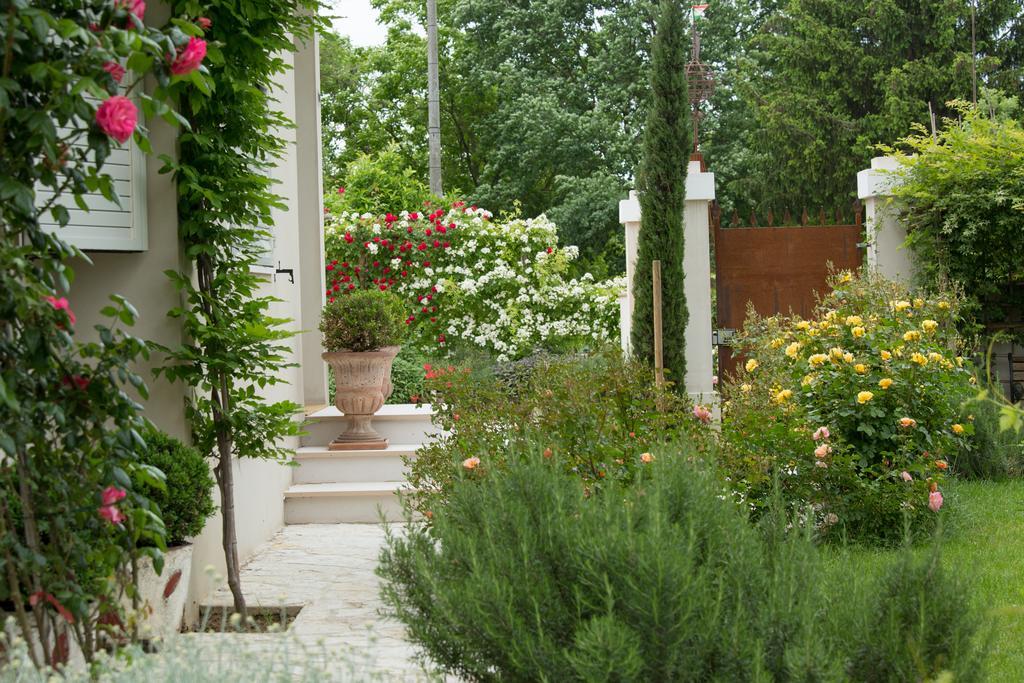 Ca'Bevilacqua Bed&Breakfast Bertinoro Kültér fotó