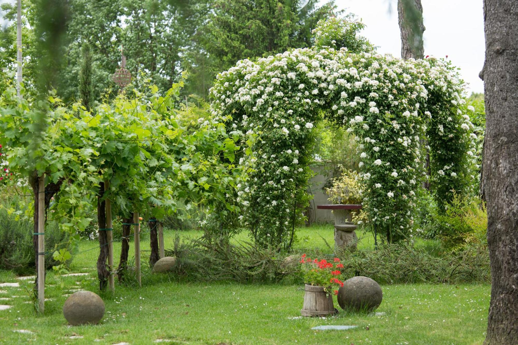 Ca'Bevilacqua Bed&Breakfast Bertinoro Kültér fotó