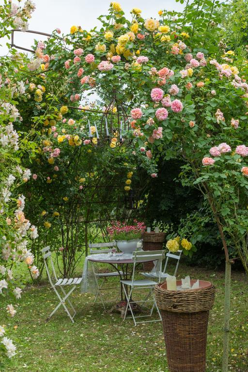 Ca'Bevilacqua Bed&Breakfast Bertinoro Kültér fotó